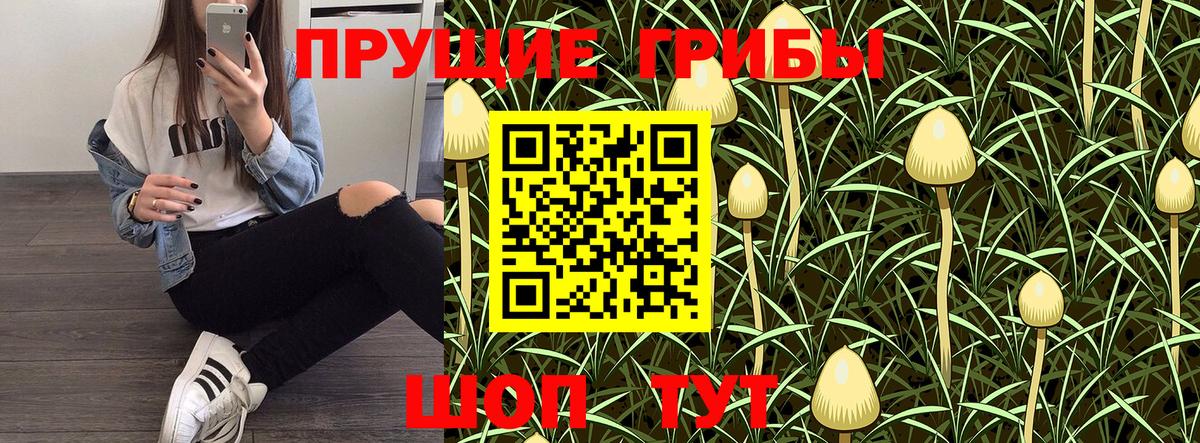 Моршанск  Псилоцибиновые грибы Psilocybine cubensis  Вход с VPN 